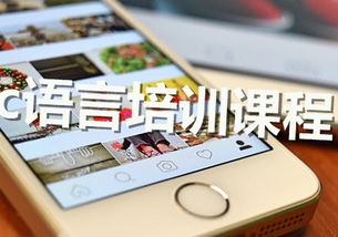點燃技能之光，成就非凡夢想——博思騰飛教育精品課程全景